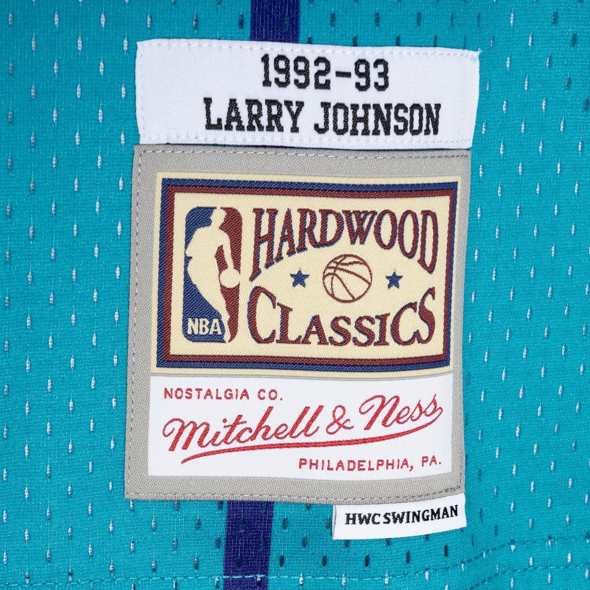 Men's Mitchell & Ness Larry Johnson Teal Purple Charlotte Hornets 1992/93 Split Swingman Jersey