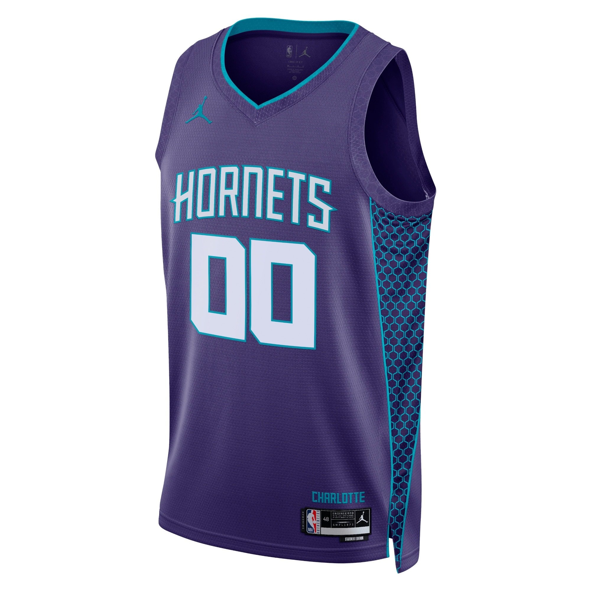 Charlotte Hornets Jordan Statement Edition Swingman Jersey - Custom Unisex Multicolor