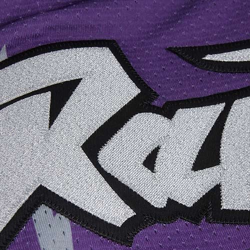 Mitchell & Ness Vince Carter Toronto Raptors 1998-1999 Throwback Jersey Purple