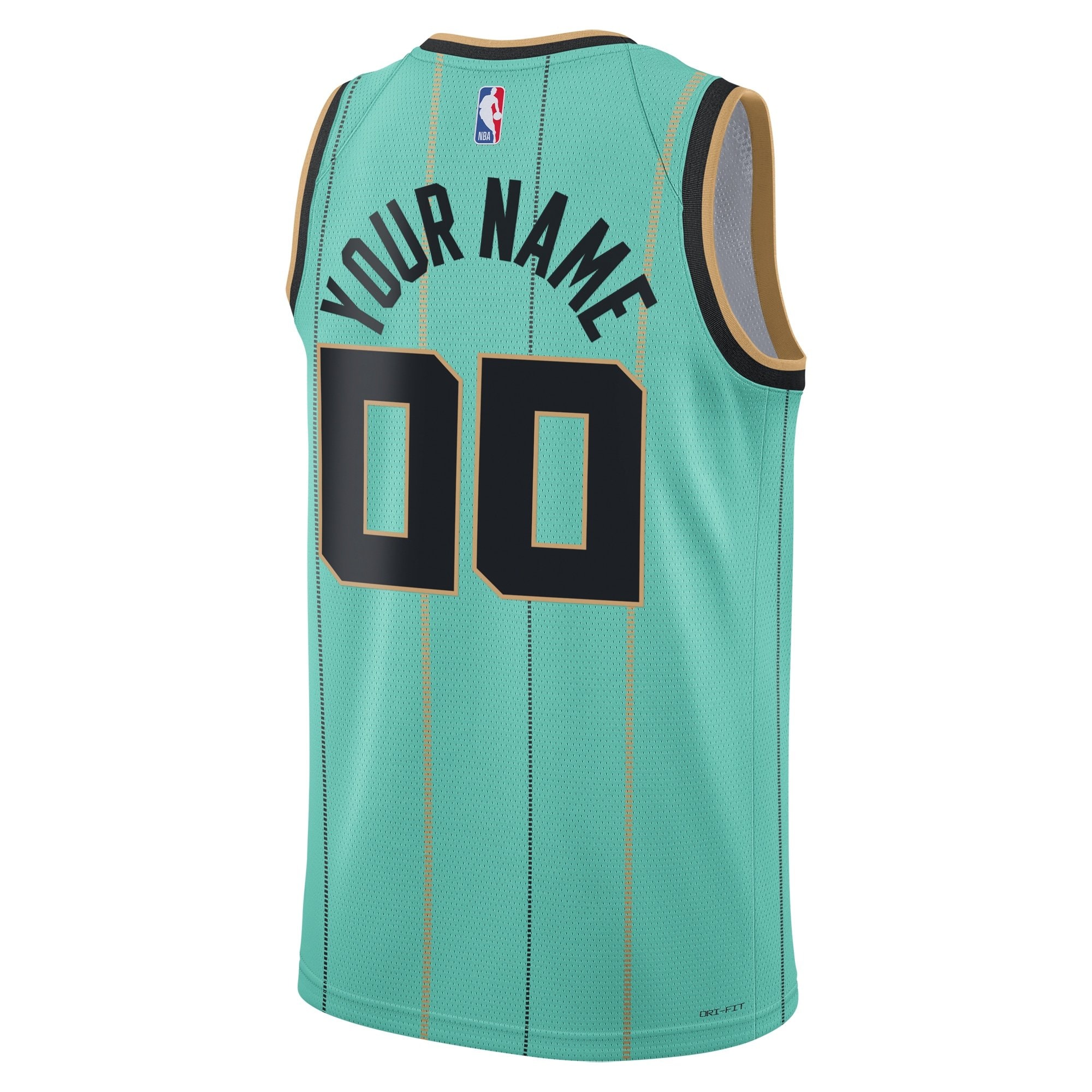 Charlotte Hornets Jordan City Edition Swingman Jersey 2024 Custom Unisex Multicolor
