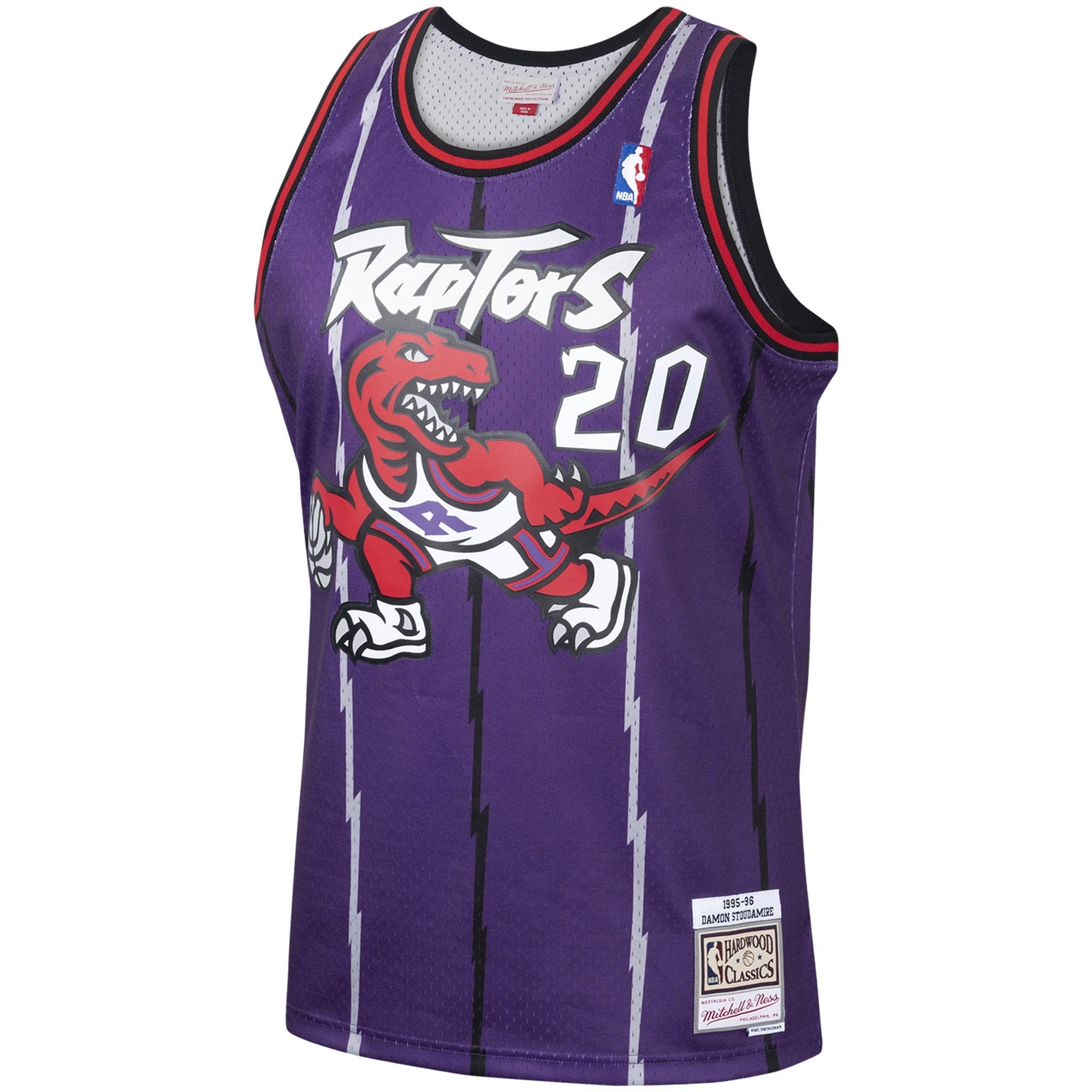 Men's Mitchell & Ness Damon Stoudamire Purple Toronto Raptors 1995-96 Hardwood Classics Swingman Jersey