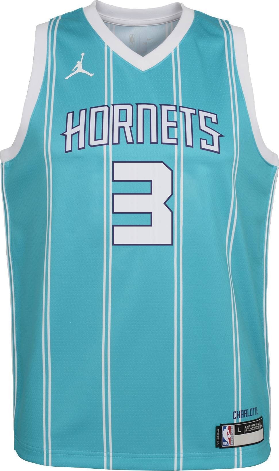 Jordan Youth Charlotte Hornets Terry Rozier Iii 3 Teal Dri-fit Swingman Jersey