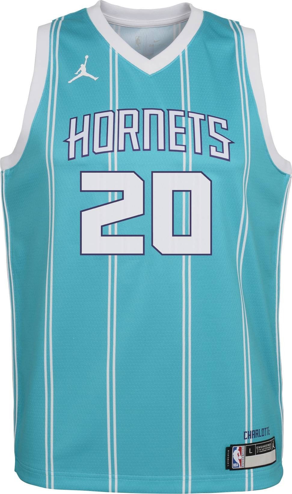 Jordan Youth Charlotte Hornets Gordon Hayward 20 Teal Dri-FIT Swingman Jersey - Multicolor
