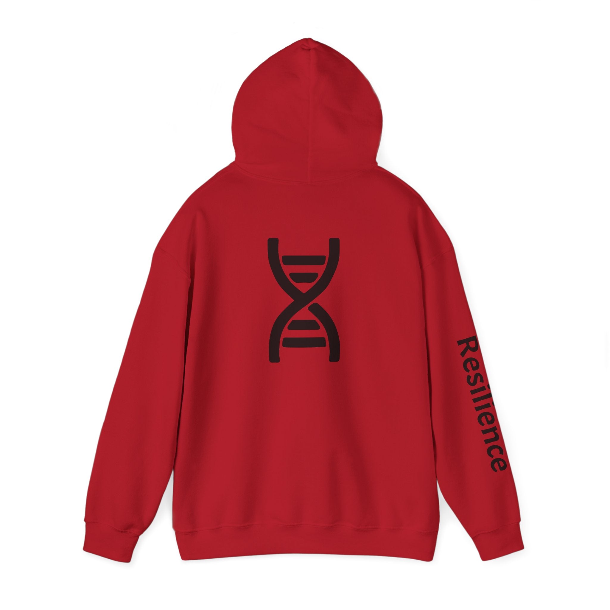 Inspiring Hoodies - Helix / Resilience